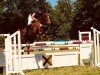 broodmare Shalima R (Hanoverian, 2010, from Stakkato)
