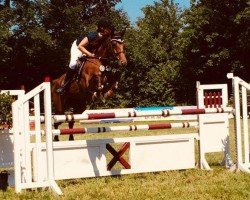broodmare Shalima R (Hanoverian, 2010, from Stakkato)