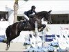 jumper Bali de L Heribus (Belgium Sporthorse, 2007, from Vigo d'Arsouilles)