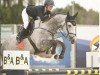 Springpferd Isis (KWPN (Niederländisches Warmblut), 2013, von Bodubai)