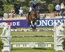 broodmare Chickflick K (Swedish Warmblood, 2008, from Hip Hop)