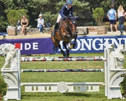 broodmare Chickflick K (Swedish Warmblood, 2008, from Hip Hop)