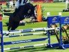 Springpferd Azur Z (Zangersheide Reitpferd, 2017, von Asca Z)