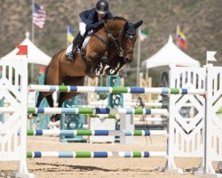 jumper Jeetjemina (KWPN (Royal Dutch Sporthorse), 2014, from VDL Harley)