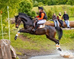 Geländepferd Latoya 36 (Holsteiner, 2016, von Love and Jump)
