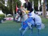 Springpferd Dr. Lasberg Kes (Österreichisches Warmblut, 2018, von Darcosall de Revel)