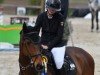 Springpferd Coupe du Monde 4 (Deutsches Sportpferd, 2018, von Costolany 3)