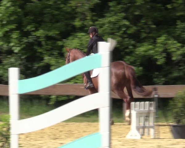 Reitturnier Wesel-Obrighoven 2025