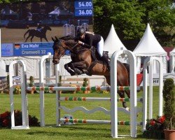 Springpferd Cromwell 32 (Bayer, 2008, von Chacco-Blue)