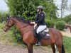 broodmare Roulette 134 (Bavarian, 2011, from Romanoff J)