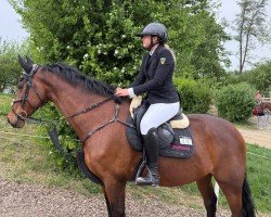 broodmare Roulette 134 (Bavarian, 2011, from Romanoff J)