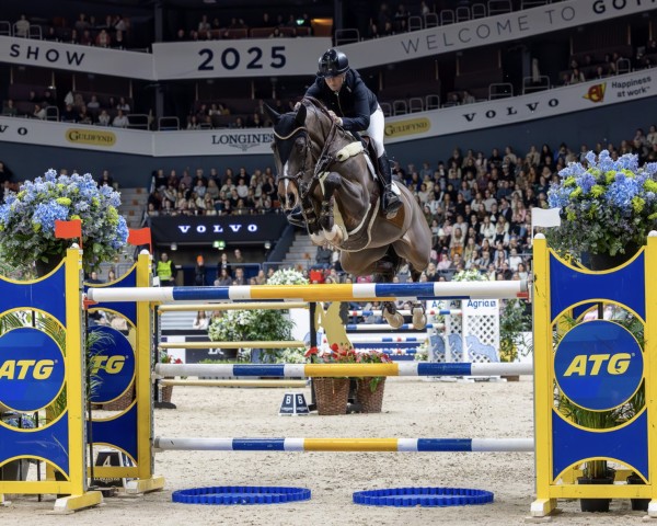 broodmare I. Comme Tessa Vhl (KWPN (Royal Dutch Sporthorse), 2013, from Comme il Faut)