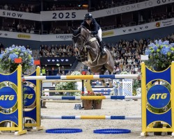 Zuchtstute I. Comme Tessa Vhl (KWPN (Niederländisches Warmblut), 2013, von Comme il Faut)