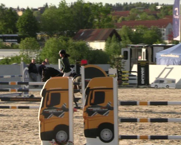 Reitturnier Zwickau 2025