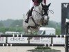 jumper Saratoga Lw (Oldenburg show jumper, 2015, from Stakkato Gold)