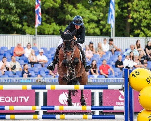 jumper Koberlina Tn (KWPN (Royal Dutch Sporthorse), 2015, from Eldorado vd Zeshoek Tn)