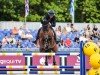 jumper Koberlina Tn (KWPN (Royal Dutch Sporthorse), 2015, from Eldorado vd Zeshoek Tn)