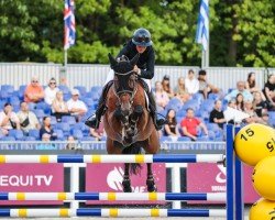 jumper Koberlina Tn (KWPN (Royal Dutch Sporthorse), 2015, from Eldorado vd Zeshoek Tn)