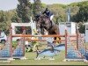 broodmare Hesjedal Nl (KWPN (Royal Dutch Sporthorse), 2012, from Carambole)