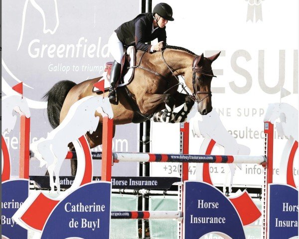 jumper Hugo Boss (Swedish Warmblood, 2012, from Balou du Rouet)
