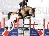 Springpferd Hugo Boss (Schwedisches Warmblut, 2012, von Balou du Rouet)