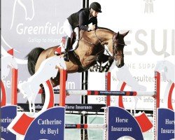jumper Hugo Boss (Swedish Warmblood, 2012, from Balou du Rouet)