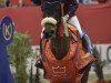 jumper All I Got Is U (Swedish Warmblood, 2010, from Algot)