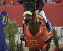 jumper All I Got Is U (Swedish Warmblood, 2010, from Algot)