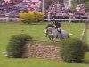 Deckhengst Spring Elegance VII (Irish Sport Horse, 1982, von Spring Diamond)