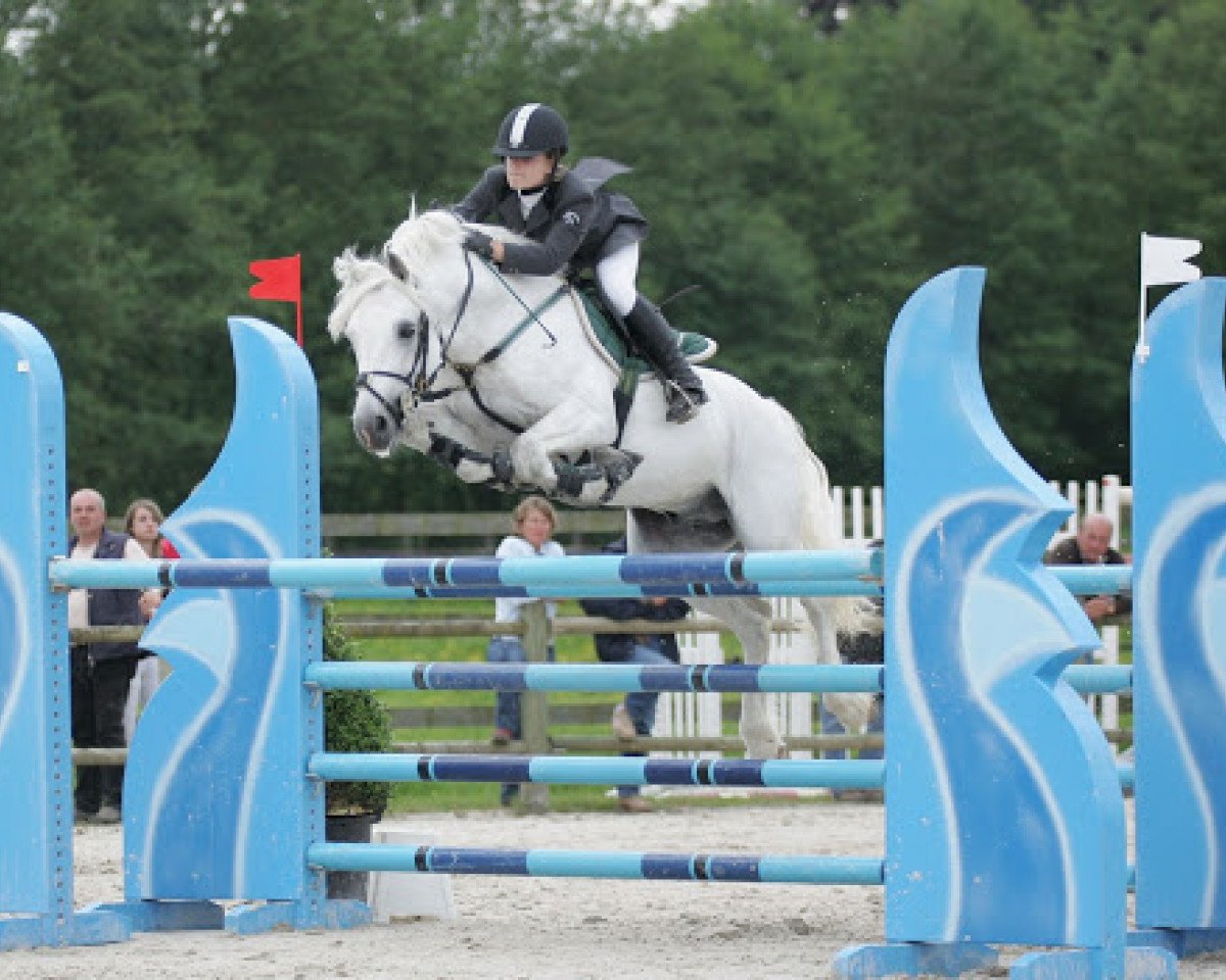 Deckhengst Funambule II (Connemara-Pony, 1993, von Abbeyleix Apollo)
