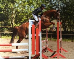 dressage horse Ferryman P (Hanoverian, 2012, from Fuechtels Floriscount OLD)