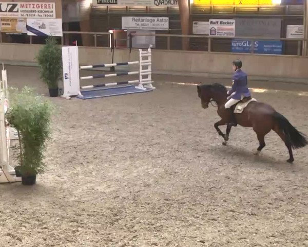Hallenturnier Heidelberg-Kirchheim 2014