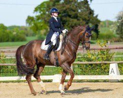 dressage horse Fior Da Liso (Westphalian, 2012, from Floribot)