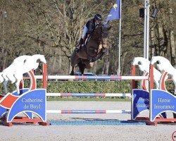 jumper Donavaya (unknown, 2013, from Don van het Parelshof Z)