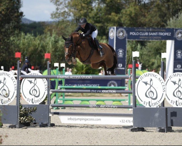 jumper Lunatique de Kwakenbeek (Belgian Warmblood, 2011, from Cicero Z van Paemel)