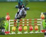 jumper DSH Lucky Junior (Irish Sport Horse, 2016, from BBS Mcgregor)