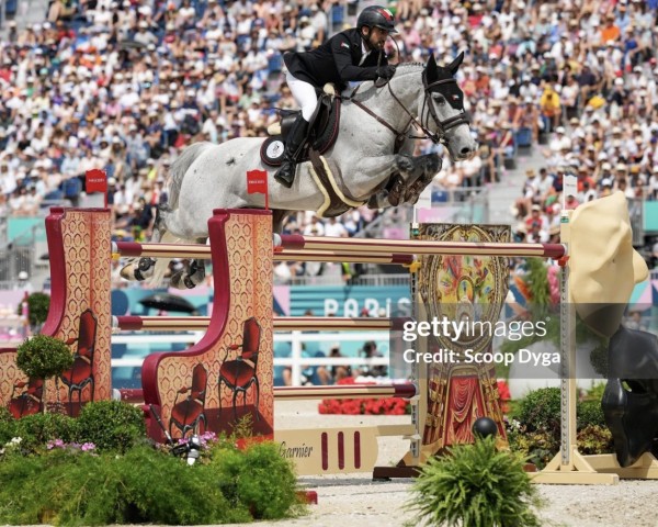 jumper BBS Mcgregor (Irish Sport Horse, 2012, from VDL Cardento 933)