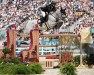 jumper BBS Mcgregor (Irish Sport Horse, 2012, from VDL Cardento 933)