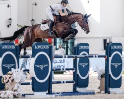 jumper Be Alcantara (unknown, 2016, from Colmar)
