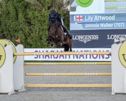 jumper Johnnie Walker 31 (KWPN (Royal Dutch Sporthorse), 2014, from VDL Harley)