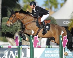 jumper Invictus (KWPN (Royal Dutch Sporthorse), 2013, from Jamal Vd Heffinck)