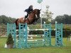 jumper Porto van de Broy (Belgian Warmblood, 2015, from Thunder van de Zuuthoeve)