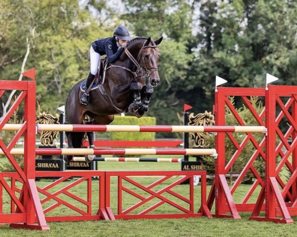 jumper Evita (KWPN (Royal Dutch Sporthorse), 2009, from Carambole)
