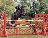jumper Evita (KWPN (Royal Dutch Sporthorse), 2009, from Carambole)