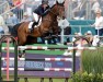 Deckhengst Z7 Ascot (Irish Sport Horse, 2011, von Nonstop)