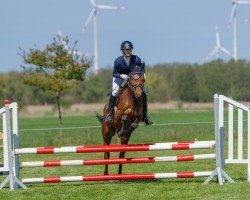dressage horse Firefly MF (Trakehner, 2019, from Tarison)