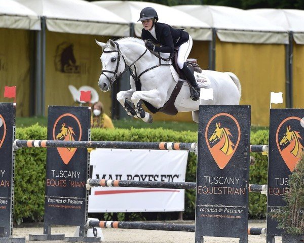 Springpferd Lady Star van Dorperheide (Belgisches Warmblut, 2011, von Zilverstar T)