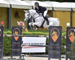 Springpferd Lady Star van Dorperheide (Belgisches Warmblut, 2011, von Zilverstar T)
