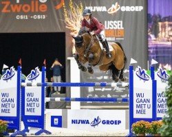 jumper Harvey (KWPN (Royal Dutch Sporthorse), 2012, from Quaprice Z)