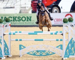 jumper Z7 Canya Dance (Irish Sport Horse, 2011, from Can Ya Makan)